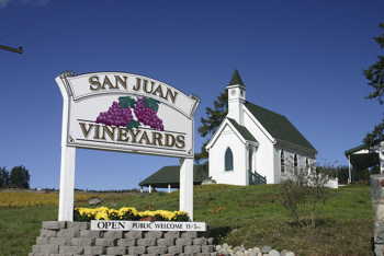 San Juan Vineyard