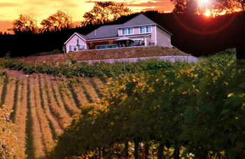 Skagit Crest Vineyard & Winery